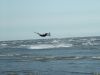 Kitesurfing St Anns   7/8/06