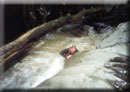 Image of me scrambling about in a gorge